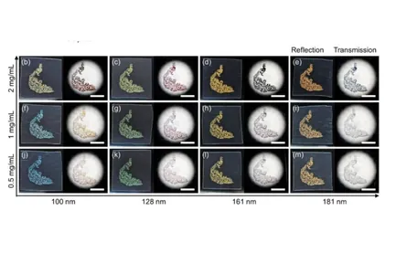 Японские физики научились печатать изображения, которые никогда не выцветают