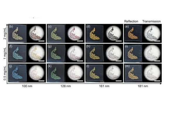 Японские физики научились печатать изображения, которые никогда не выцветают
