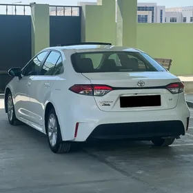 Toyota Corolla 2024