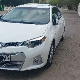 Toyota Corolla 2014