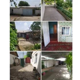 buzmeyin gres Şanhaý