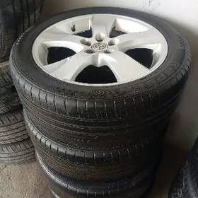 17 lik karola diska pakriska