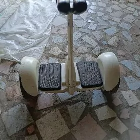 geraskuter