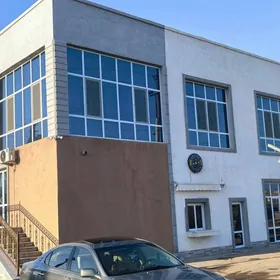 Ilata hyzmat edis nokady