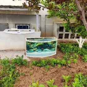 Akwaryum Zowodskoý 200-220litr