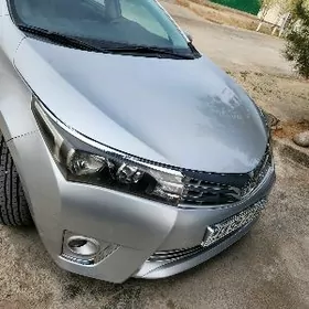 korolla haliji detallar