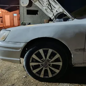 17lik diska pakryska