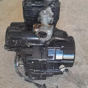 Gp dhoom guşly dwgatel