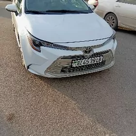 Toyota Corolla 2023