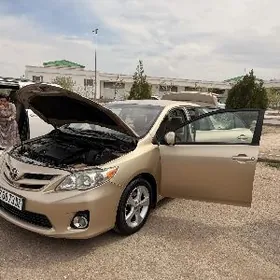 Toyota Corolla 2011