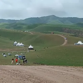 Palata gummez hyzmaty