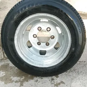 gazel teker dysgasy bilen