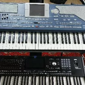 korg pa800