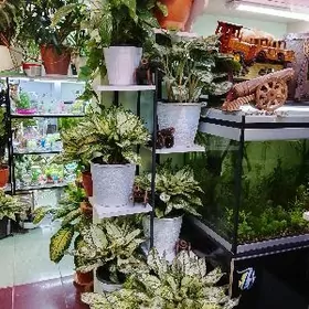 нужна уборщица в цветочный маг