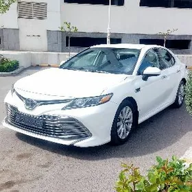 Toyota Camry 2020