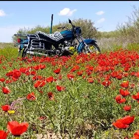 Fekon FK200-14G 2026