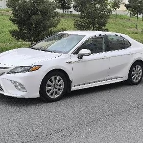 Toyota Camry 2020