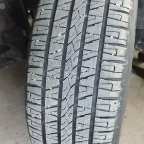 235 60 18 teker Saýlun