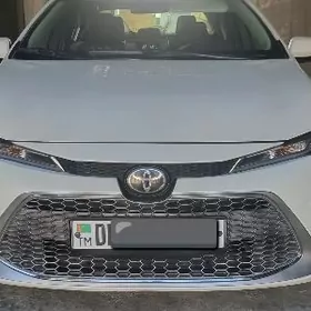 Toyota Corolla 2019