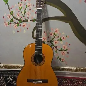 Gitara