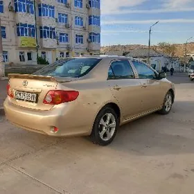 Toyota Corolla 2010