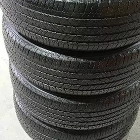 235/55/20/ BREDISTONE