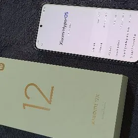 Xiomi 12x