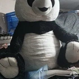 mişka panda