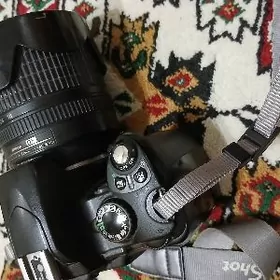 Nikon D40