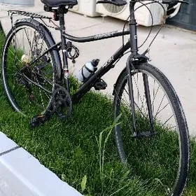 yaponka arginal 27 lik