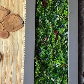 fito zona setka yasyl ot