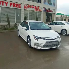 Toyota Corolla 2021