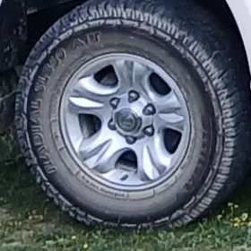 runner limited diska teker