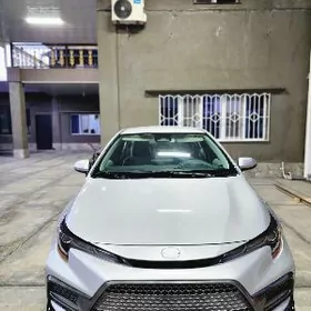 Toyota Corolla 2024