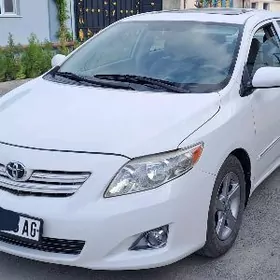 Toyota Corolla 2010