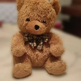 мишка плюшевый