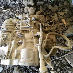 Lehus RX 330 karopga