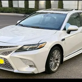 Toyota Camry 2019