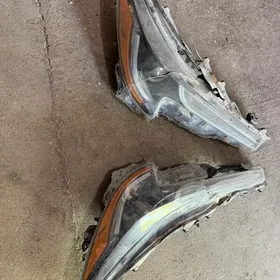 Fara Karolla 2022 Cyra