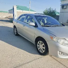 Toyota Corolla 2010