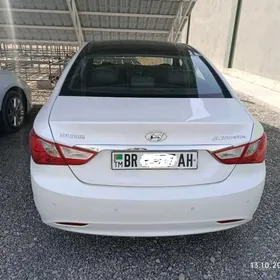 Hyundai Sonata 2010