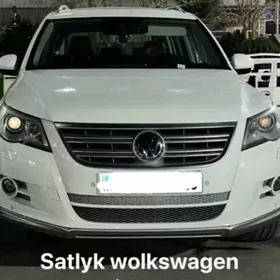 Volkswagen Tiguan 2010