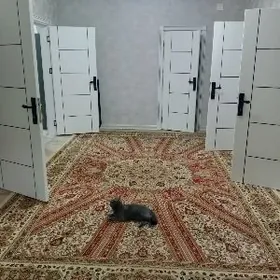 Продаётся Полуэлитка