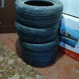 Tekerler pakriska 225.55.17