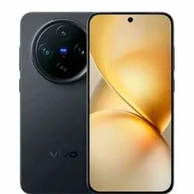 Vivo X200 Pro mini
