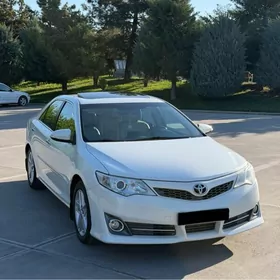 Toyota Camry 2013
