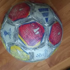 Uefa Champions league 2024 top