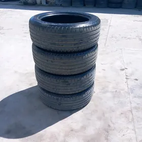 235 55 19 arginal nexsan