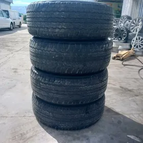 285 65 17 arginal Dunlop