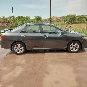 Toyota Corolla 2010